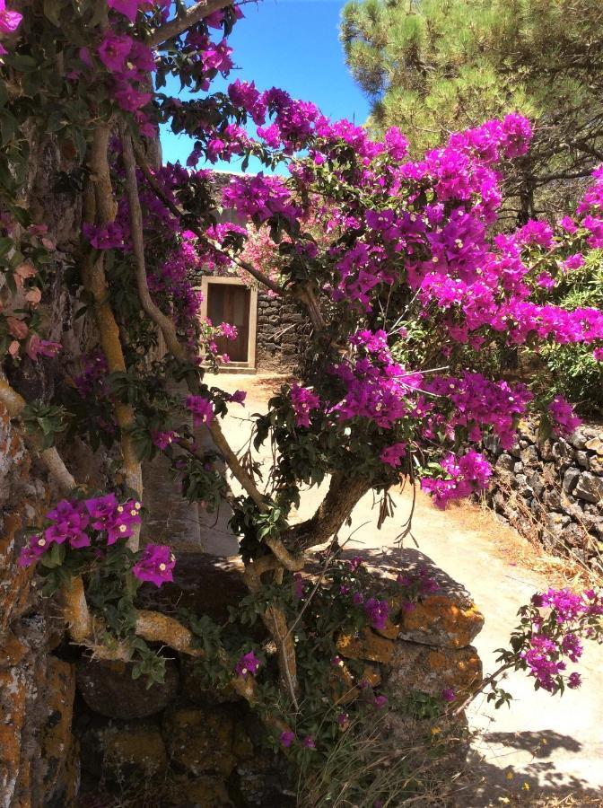 2 Gatti - Sogno Aparthotel Siba Exterior photo